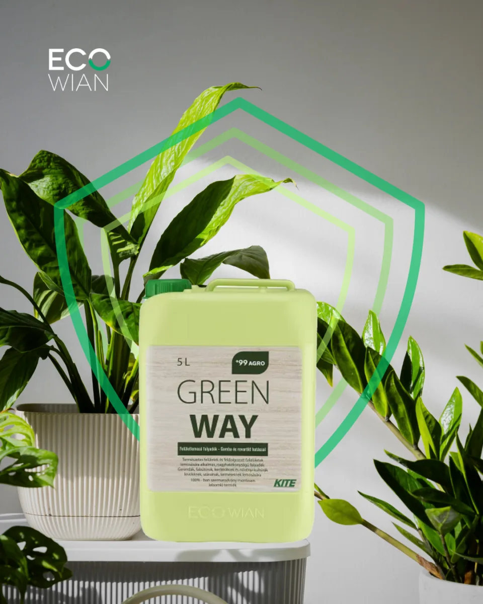 ECOWIAN visualization