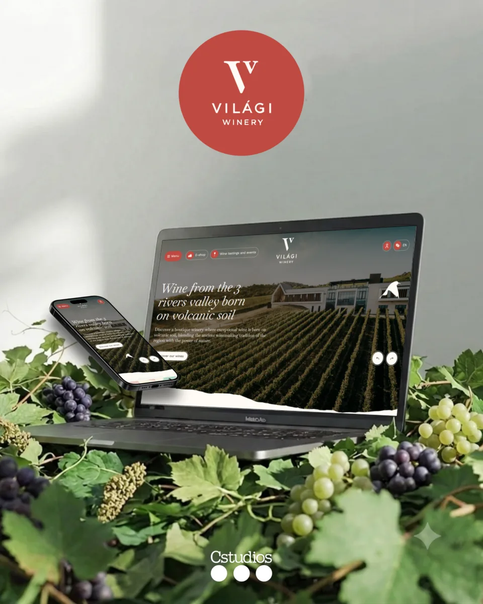 Világi Winery visualization